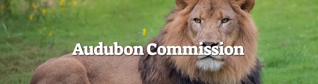 Outrage in New Orleans: When Failure Is Rewarded and Accountability Is Optional